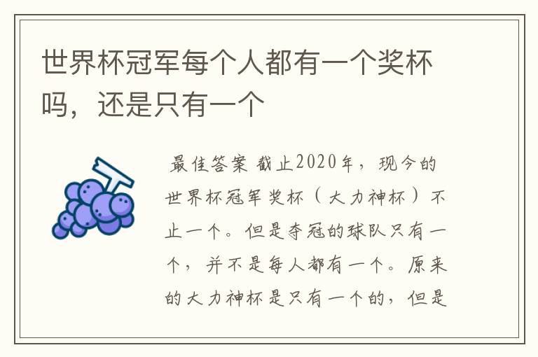 世界杯冠军每个人都有一个奖杯吗,还是只有一个