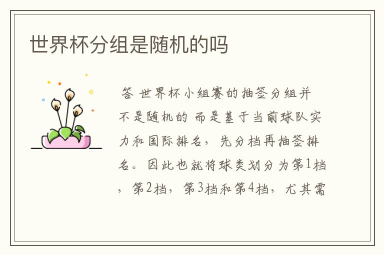 世界杯分组是随机的吗
