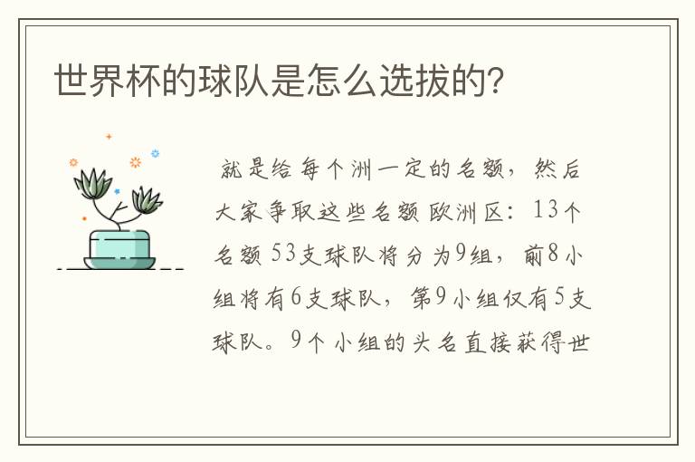 世界杯的球队是怎么选拔的?