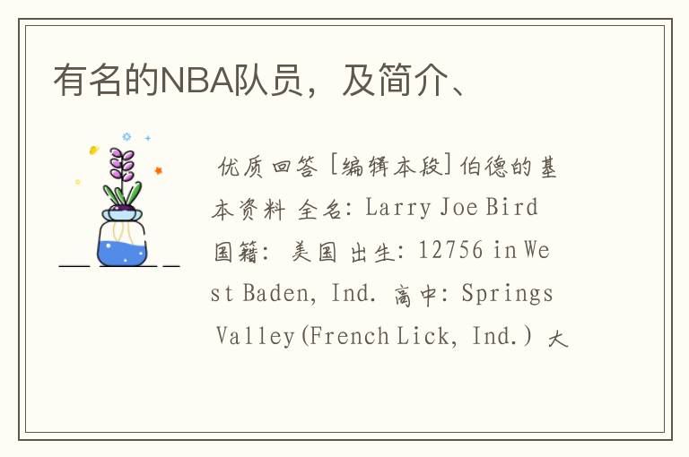有名的NBA队员,及简介、