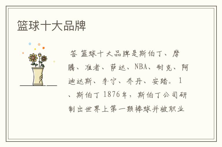 篮球十大品牌