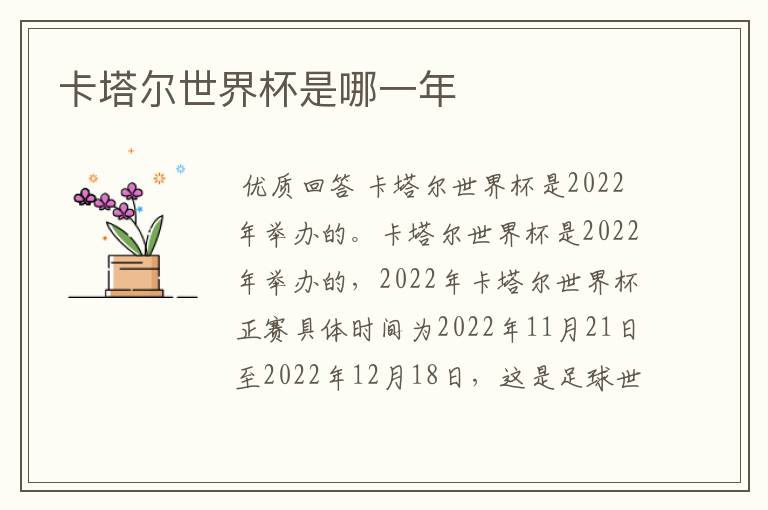 卡塔尔世界杯是哪一年