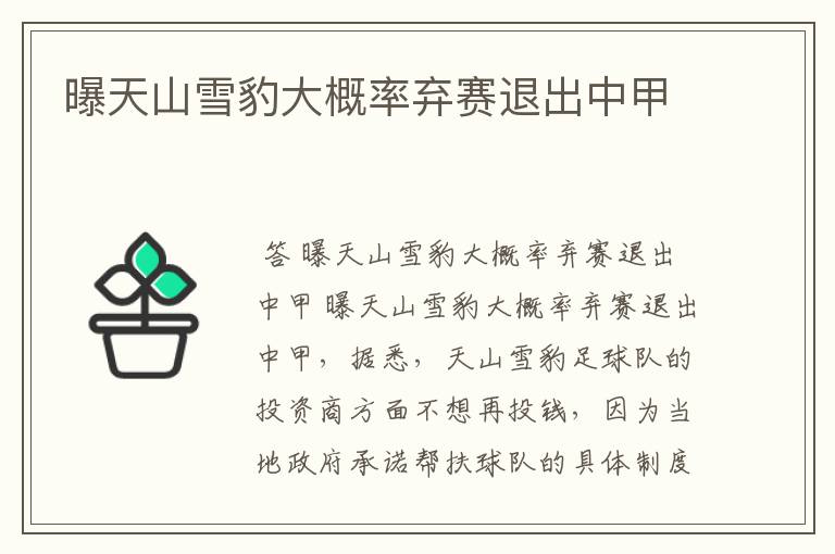 曝天山雪豹大概率弃赛退出中甲