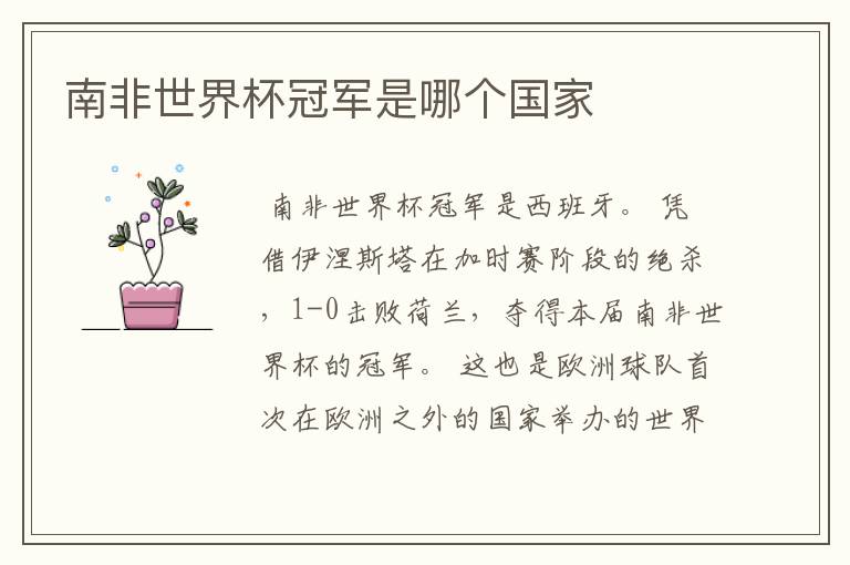 南非世界杯冠军是哪个国家
