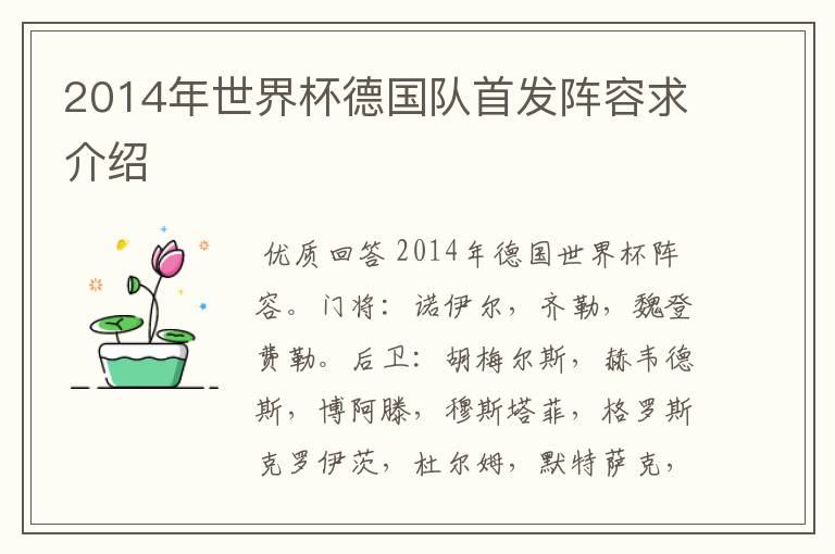 2014年世界杯德国队首发阵容求介绍