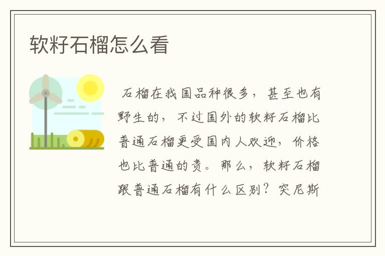 软籽石榴怎么看