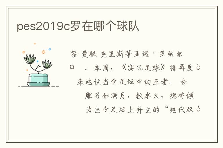 pes2019c罗在哪个球队