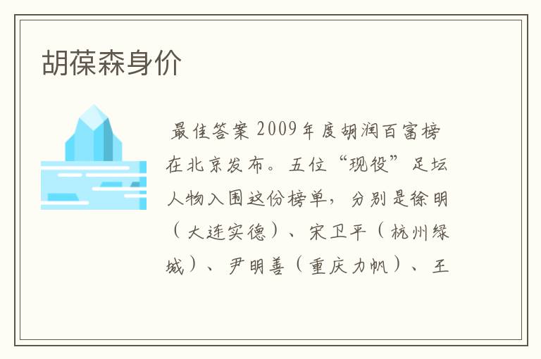胡葆森身价