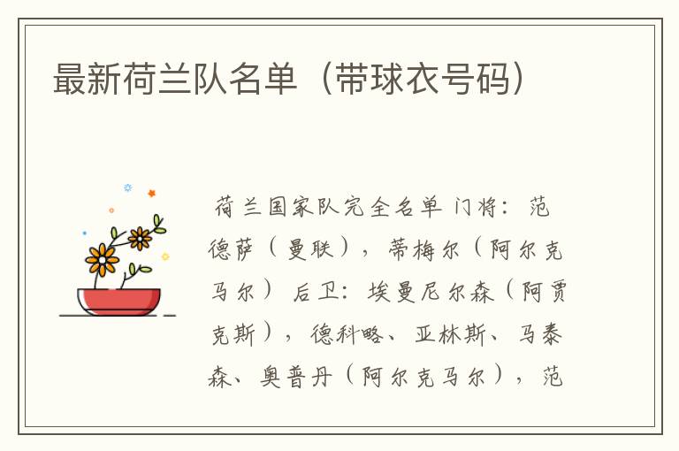 最新荷兰队名单(带球衣号码)