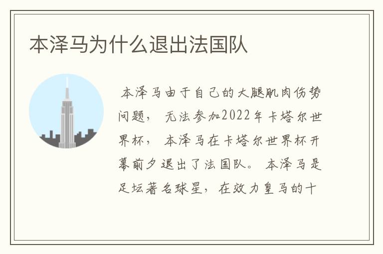 本泽马为什么退出法国队