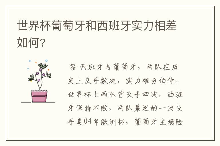 世界杯葡萄牙和西班牙实力相差如何?