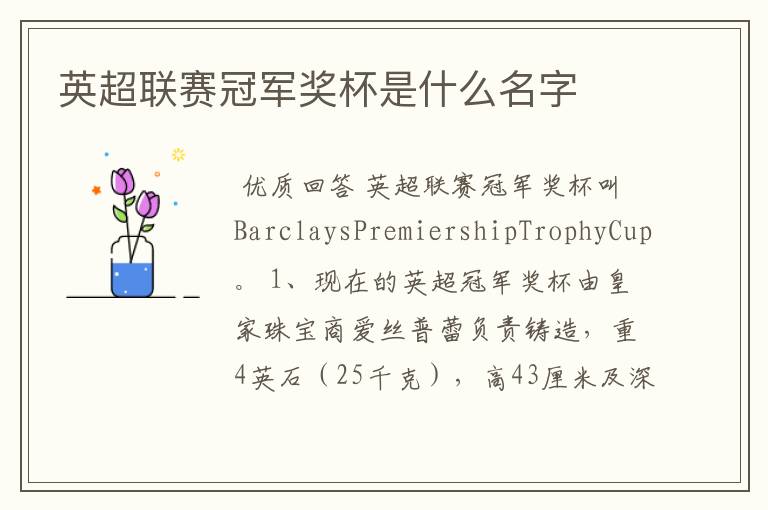 英超联赛冠军奖杯是什么名字