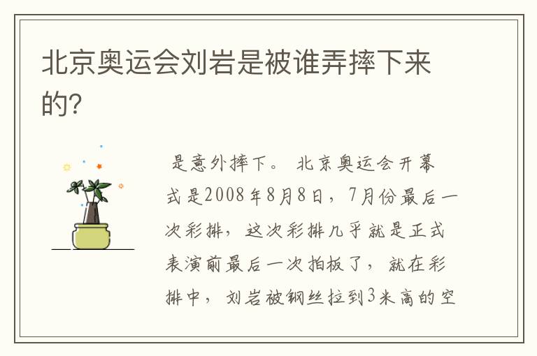 北京奥运会刘岩是被谁弄摔下来的?