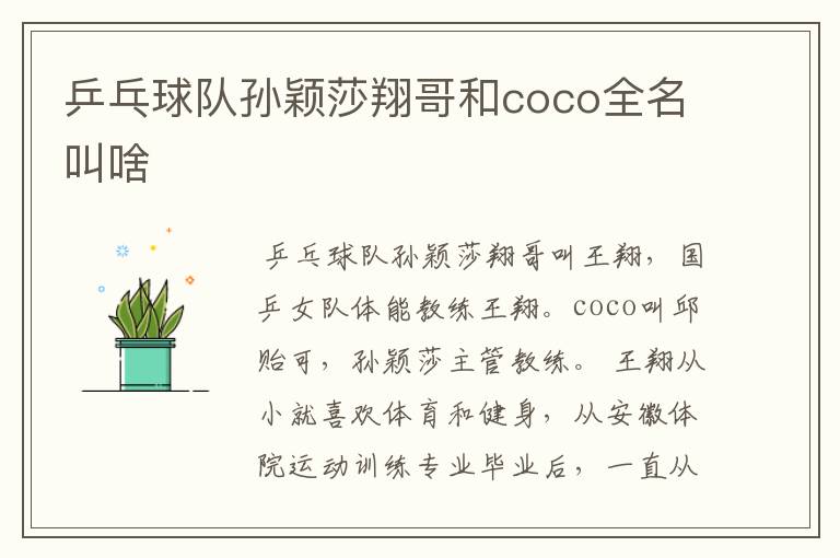 乒乓球队孙颖莎翔哥和coco全名叫啥