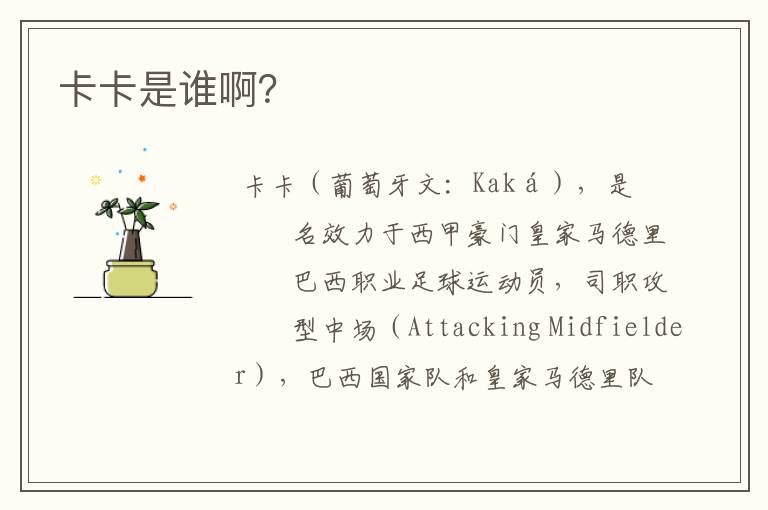 卡卡是谁啊?