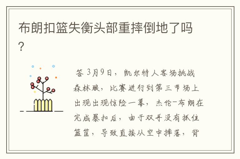布朗扣篮失衡头部重摔倒地了吗?