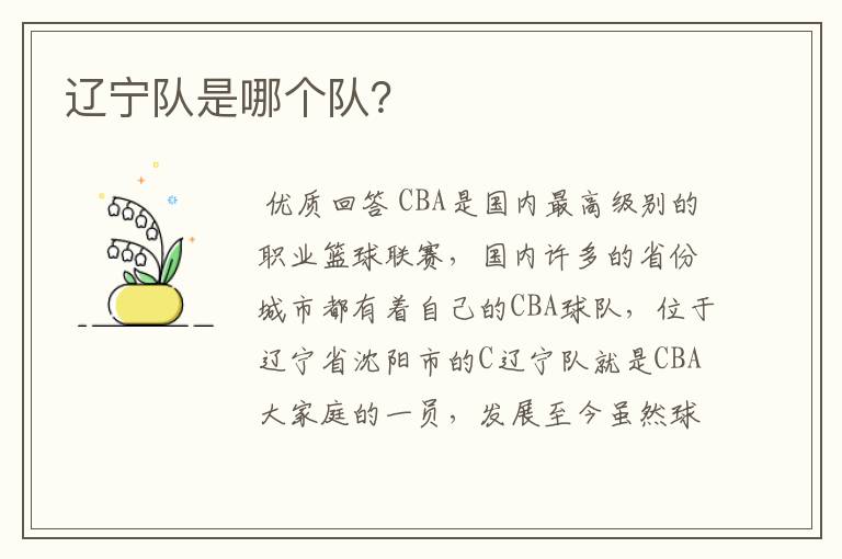 辽宁队是哪个队?