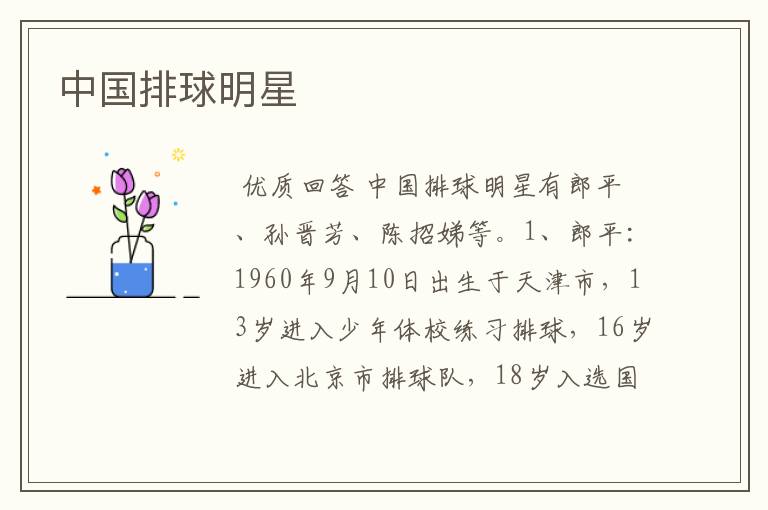 中国排球明星