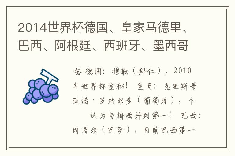 2014世界杯德国、皇家马德里、巴西、阿根廷、西班牙、墨西哥的明星球员和恒大的