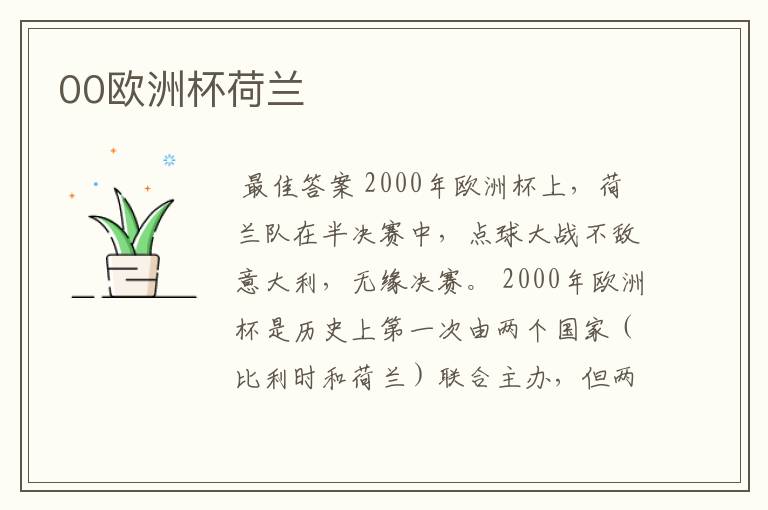 00欧洲杯荷兰