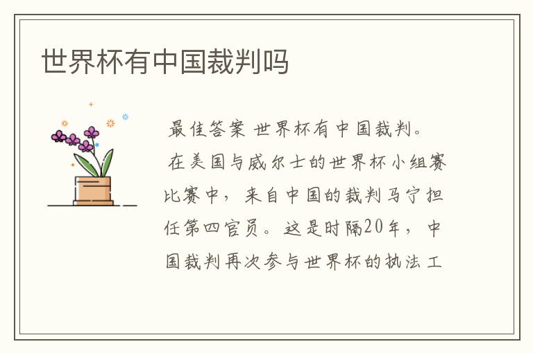 世界杯有中国裁判吗