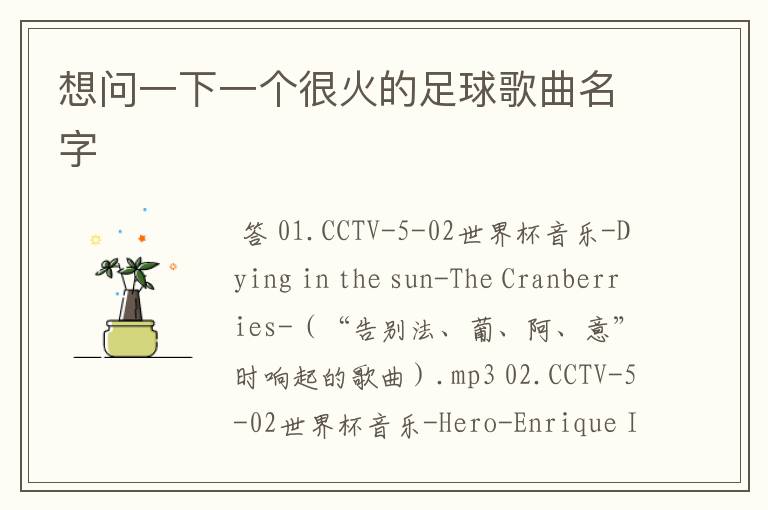 想问一下一个很火的足球歌曲名字