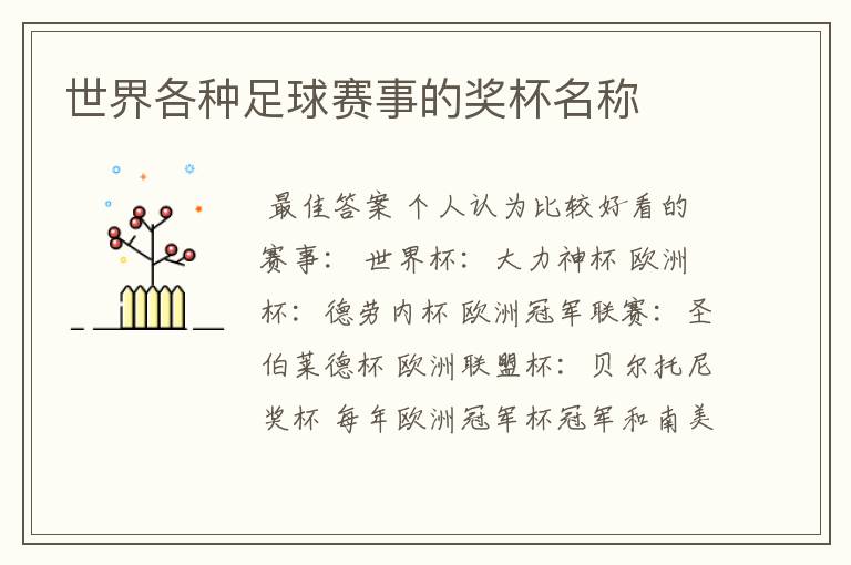 世界各种足球赛事的奖杯名称