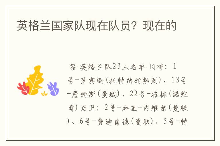 英格兰国家队现在队员?现在的