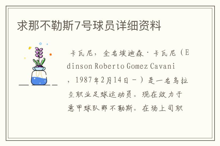 求那不勒斯7号球员详细资料