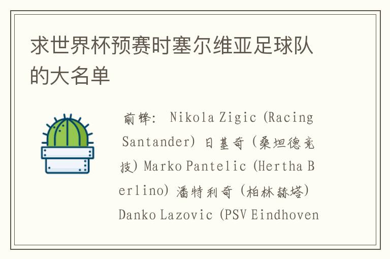 求世界杯预赛时塞尔维亚足球队的大名单