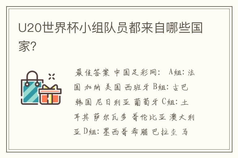 U20世界杯小组队员都来自哪些国家?