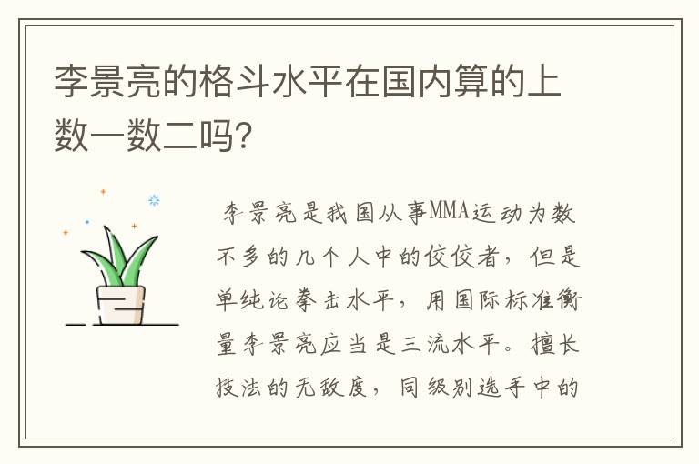 李景亮的格斗水平在国内算的上数一数二吗？