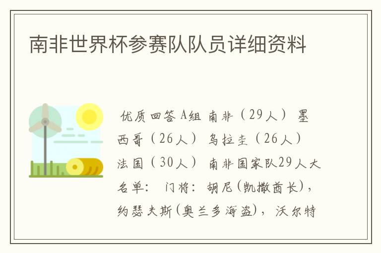 南非世界杯参赛队队员详细资料