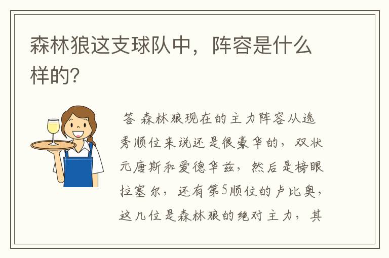 森林狼这支球队中,阵容是什么样的?