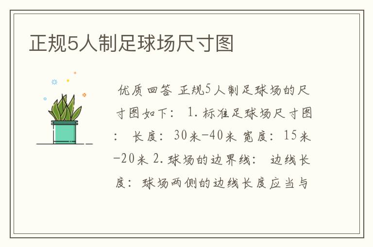 正规5人制足球场尺寸图