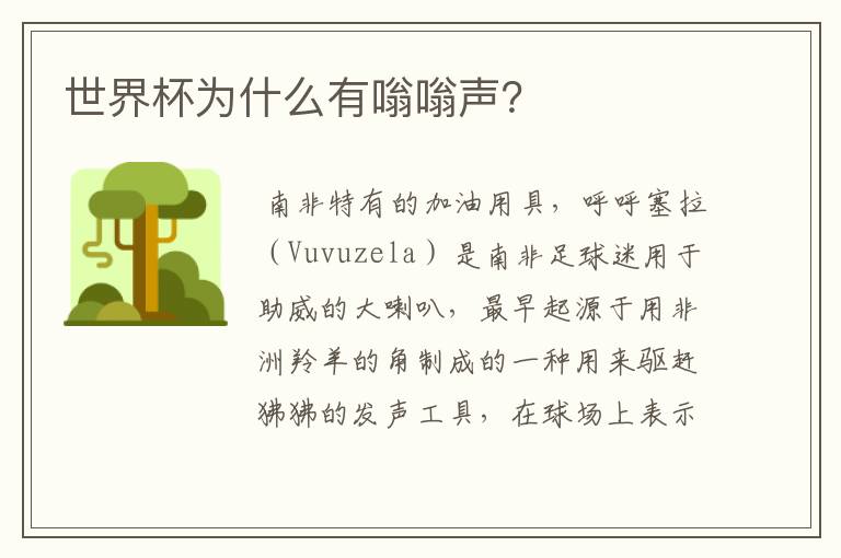 世界杯为什么有嗡嗡声?