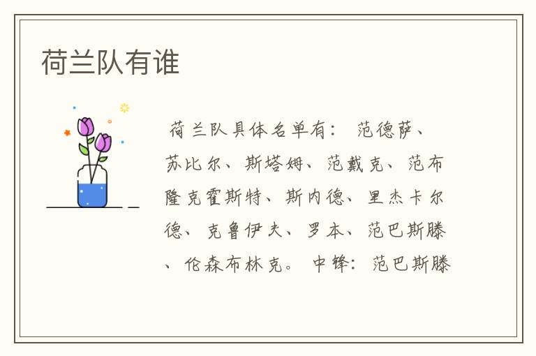 荷兰队有谁