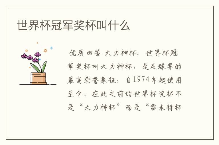 世界杯冠军奖杯叫什么