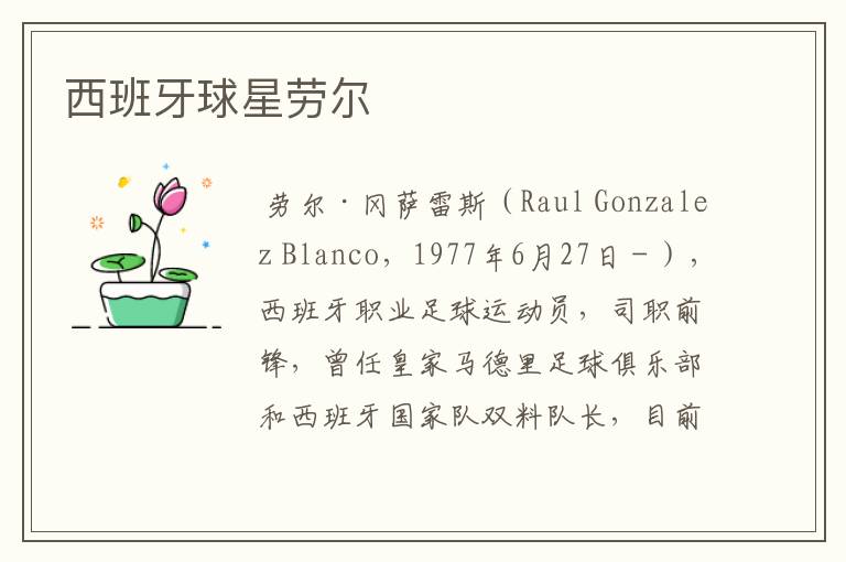 西班牙球星劳尔