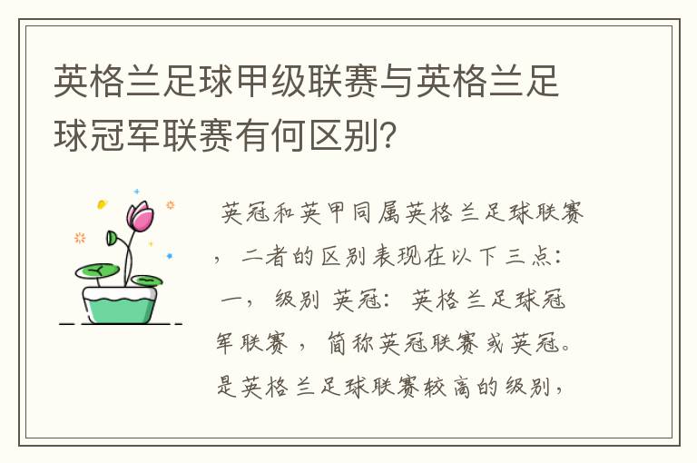 英格兰足球甲级联赛与英格兰足球冠军联赛有何区别?