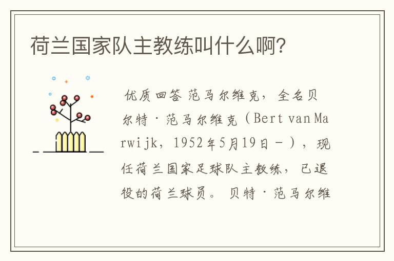 荷兰国家队主教练叫什么啊?