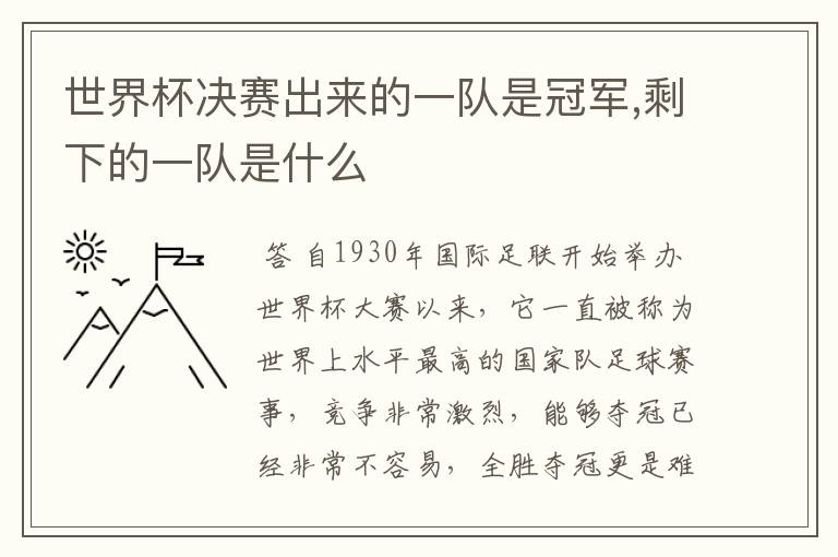 世界杯决赛出来的一队是冠军,剩下的一队是什么