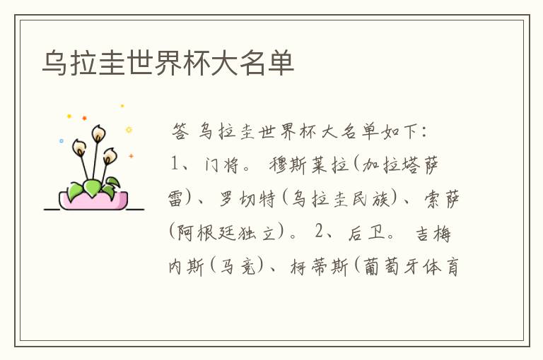 乌拉圭世界杯大名单