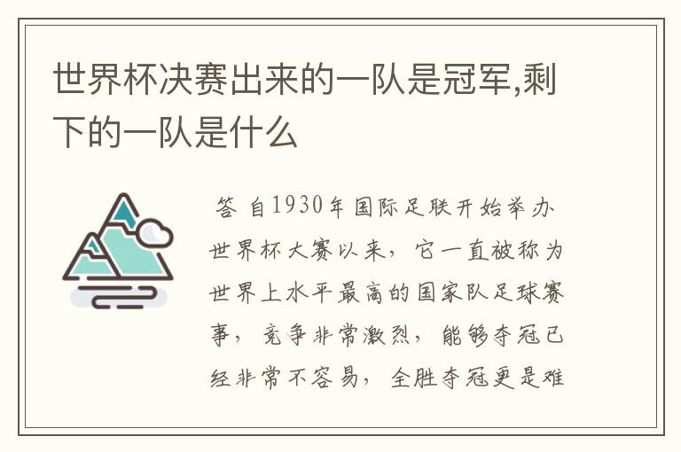 世界杯决赛出来的一队是冠军,剩下的一队是什么