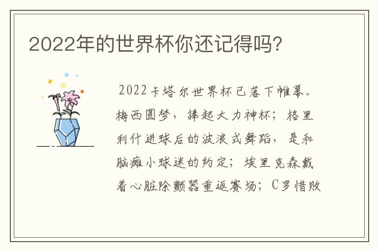 2022年的世界杯你还记得吗?