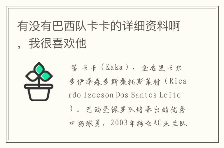 有没有巴西队卡卡的详细资料啊,我很喜欢他