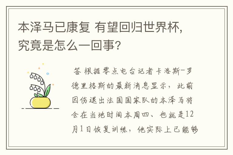 本泽马已康复 有望回归世界杯,究竟是怎么一回事?
