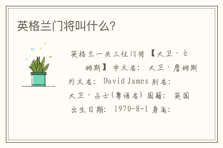 英格兰门将叫什么?