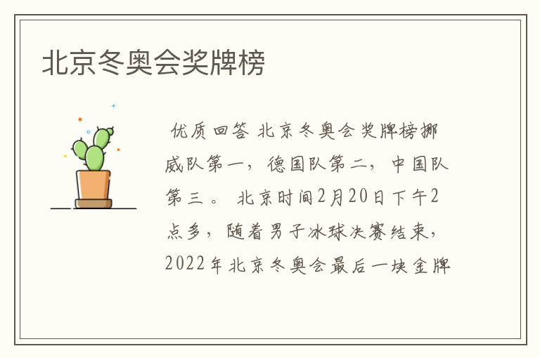 北京冬奥会奖牌榜