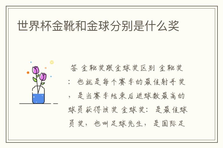 世界杯金靴和金球分别是什么奖